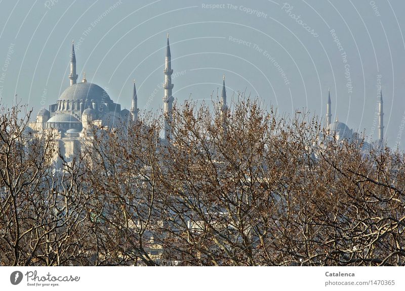 Die blaue Sultan-Ahmed-Moschee Reisen Tourismus Ausflug Städtereise Gottesdienst Bildung Iman Istanbul Türkei Vorderasien + Südosteuropa Minarett Kuppeldach
