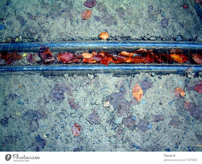 Feeling down when the autumn has come ... Wasserrinne Regenrinne Metall Metallwaren Blatt Straße Schlamm matschig dreckig Stein Herbst kalt grau blau rot braun