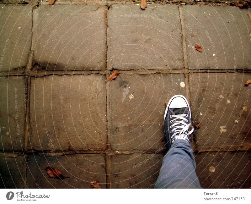 Einbeinig Straße Asphalt grau Herbst Wandel & Veränderung Blatt Baum rot braun gelb orange Bodenbelag Chucks Schuhe Jugendliche Beine Hose Fliesen u. Kacheln