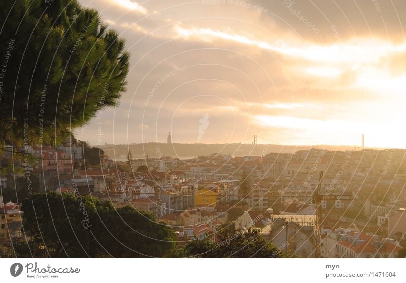 Lissabon II Ferien & Urlaub & Reisen Tourismus Ausflug Abenteuer Ferne Freiheit Sightseeing Städtereise Sommer Himmel Wolken Sonne Sonnenaufgang Sonnenuntergang