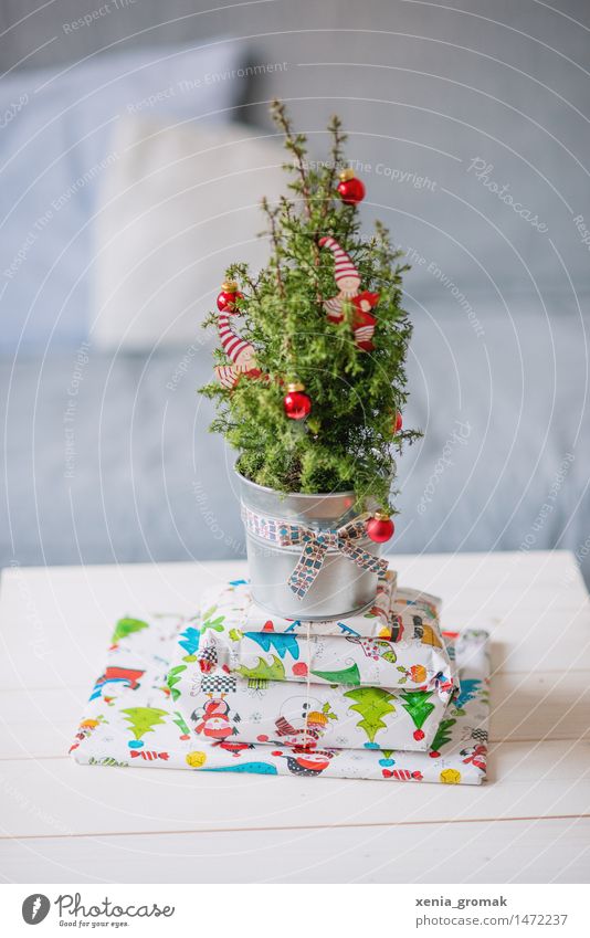 Weihnachten Feste & Feiern Weihnachten & Advent Baum Grünpflanze Topfpflanze exotisch grün rot silber Glück Fröhlichkeit Geschenk verpackt Weihnachtsbaum