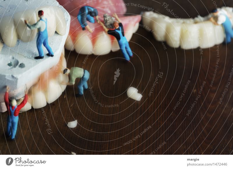 Miniwelten - Professionelle Zahnreinigung Körperpflege Gesundheitswesen Modellbau Beruf Handwerker Arzt Mensch maskulin Mann Erwachsene Zähne 6