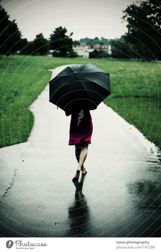 Ain't no sunshine... Regen Wetter Gewitter Herbst Sommer nass Pfütze Wege & Pfade Wiese Feld kalt Regenschirm feucht Kleid Spaziergang laufen gehen Fußgänger