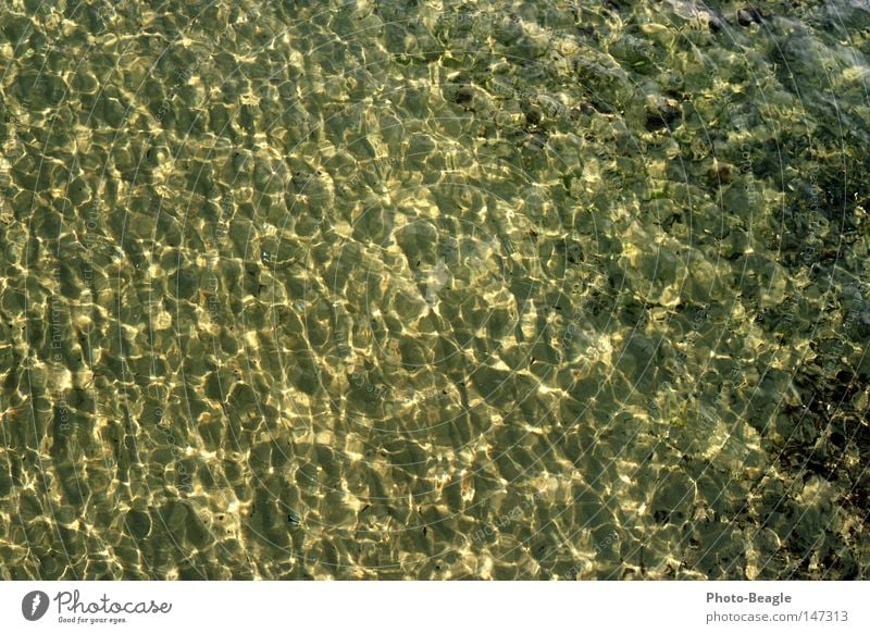 Meeresgrund See Ostsee Wasser Wellen Sand Stein Muschel nass Meerwasser Gischt Brandung Ferien & Urlaub & Reisen Strand nseaside wave waves holiday holidays