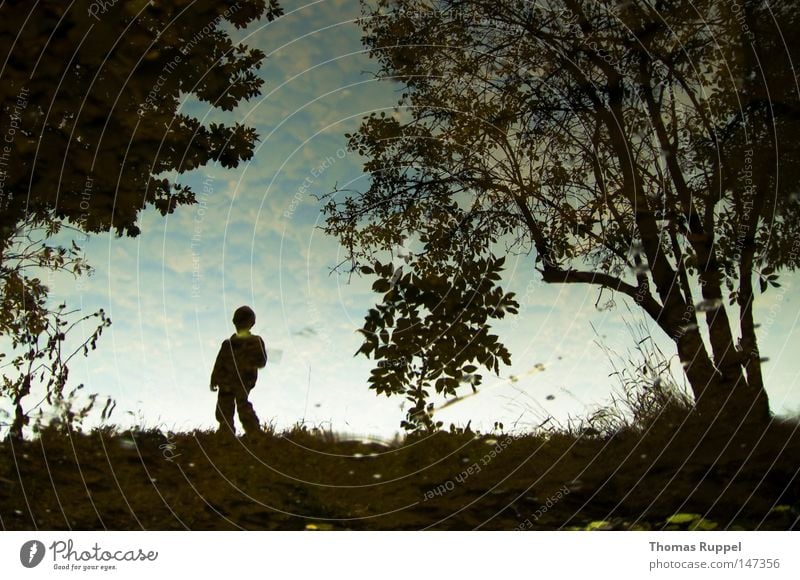 Himmelsbach Farbfoto Außenaufnahme Textfreiraum oben Tag Kind Mensch maskulin Junge Kindheit 1 3-8 Jahre Natur Herbst Baum Gras Sträucher Flussufer Bach Blick