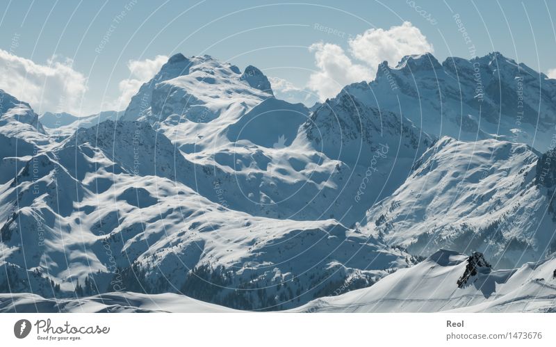 Schneelandschaft Wintersport Natur Landschaft Urelemente Himmel Wolkenloser Himmel Schönes Wetter Felsen Alpen Berge u. Gebirge Montafon Gipfel
