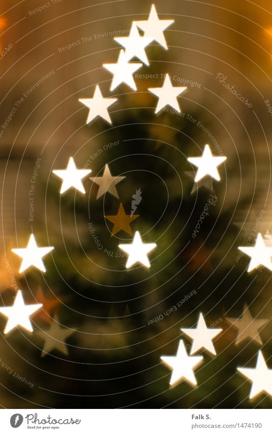 Weihnachtsbaum, abstrakt mit Sternchen Weihnachten & Advent Lichterkette Nadelbaum Dekoration & Verzierung Stern (Symbol) Feste & Feiern glänzend leuchten