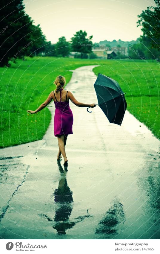 Singin' in the rain Regen Wetter Gewitter Herbst Sommer nass Pfütze Wege & Pfade Wiese Feld kalt Regenschirm feucht Kleid Spaziergang laufen gehen Fußgänger