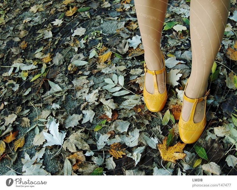 Passende Schuhe zum Herbst: € 19,90 Schnalle Blatt gelb grün Asphalt Straßenrand gelbe Schuhe Treppenabsatz Spaziergang Fuß Beine Wege & Pfade Herbstspaziergang