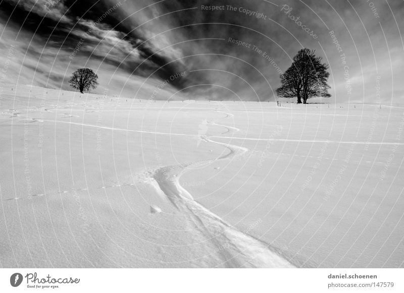 Snowboardweihnachtskarte Winter Schnee Schwarzwald weiß Spuren Tiefschnee Wintersport Freizeit & Hobby Ferien & Urlaub & Reisen Hintergrundbild Baum