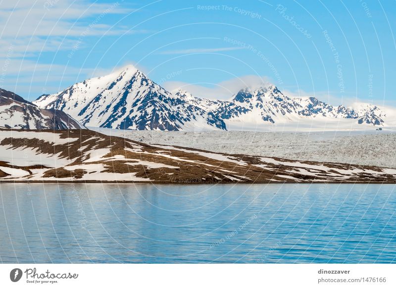 Arktische Berge Ferien & Urlaub & Reisen Meer Winter Schnee Berge u. Gebirge Umwelt Natur Landschaft Klima Gletscher Küste frieren blau weiß Eis polar