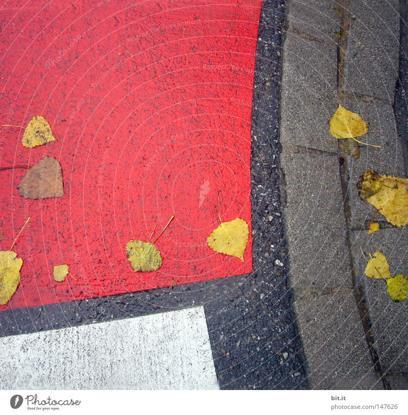 PATCHWORK Blatt grau Grauwert weiß Herbst trist Streifen Linie Asphalt rot Quadrat Straße kariert