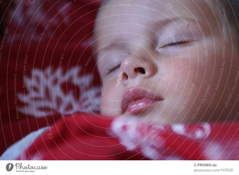 Junge schläft friedlich im Bett Kind schlafen träumen Mittagsschlaf Kindheit Unbeschwertheit niedlich klein Kleinkind Mund geschlossene Augen Erholung Nacht