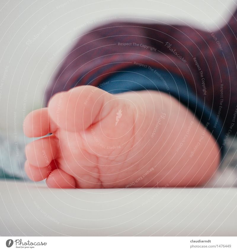 Sind so kleine Füße... Mensch Baby Fuß 1 0-12 Monate Hose Liebe liegen niedlich schön Gefühle Glück Geborgenheit Lebensfreude Zehen Fußsohle Kind Farbfoto