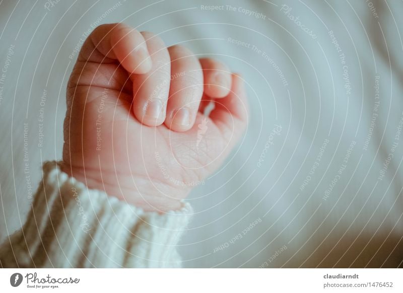 Sind so kleine Hände... Mensch Baby Kindheit Leben Hand Finger 1 0-12 Monate Pullover niedlich schön Glück Lebensfreude Schutz Geborgenheit Liebe Gefühle winzig