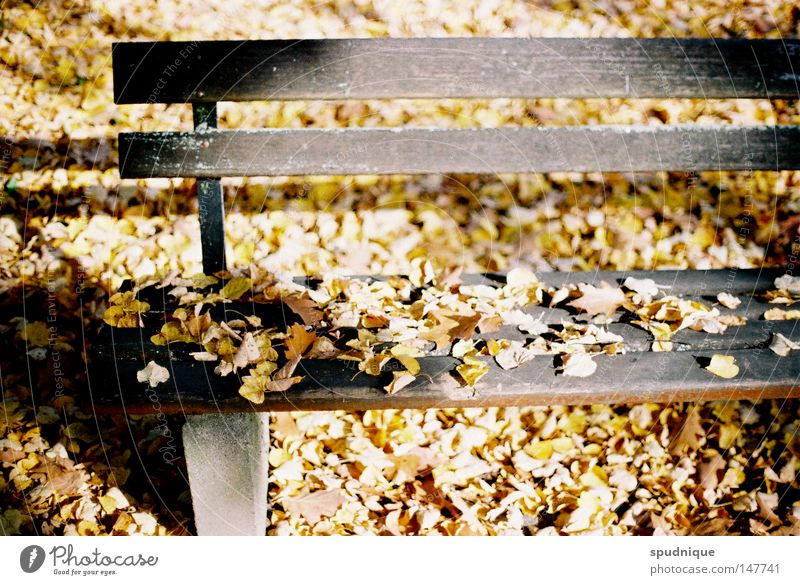 Dreiundsiebzig Jahre Herbst Sonne Stimmung Licht Physik Blatt Baum Aufenthalt Park Parkbank Einsamkeit Jahreszeiten Garten Vergänglichkeit Wärme Ende Delikt Tod