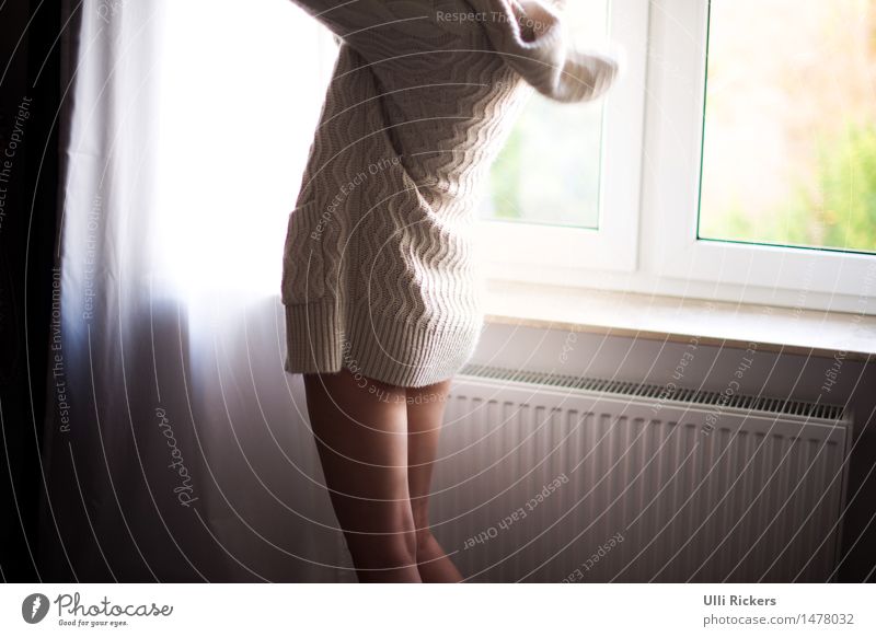 anziehend Wohnung Raum feminin Haut Gesäß Beine 1 Mensch 18-30 Jahre Jugendliche Erwachsene Fenster Mode Pullover Stoff Erholung Häusliches Leben elegant