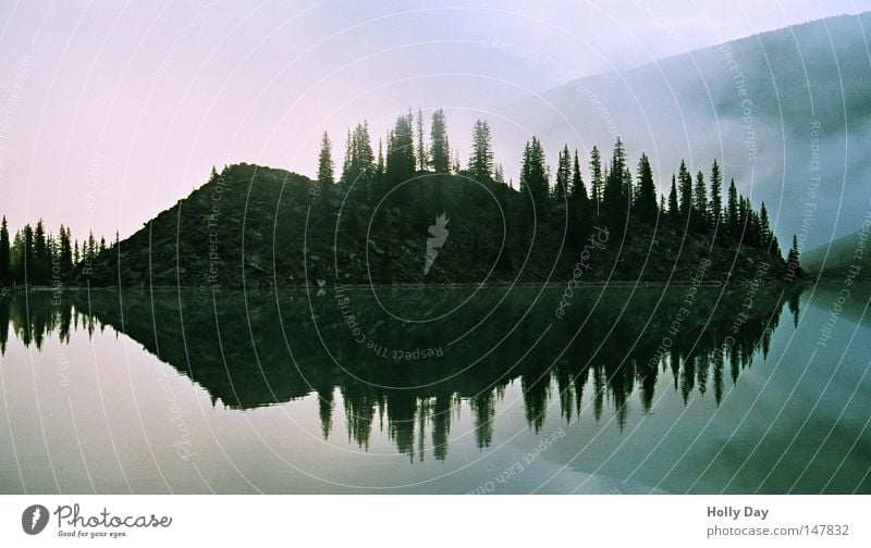 Inseln im Nebel Alberta Banff National Park Nationalpark Kanada Nordamerika Baum Spiegel Reflexion & Spiegelung Wasser See Moraine Lake unheimlich Klarheit kalt