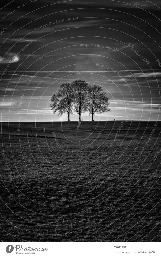 verlassenes Trio Mensch 1 Landschaft Pflanze Himmel Wolken Horizont Wetter Schönes Wetter Baum Gras Wiese Hügel laufen ästhetisch schwarz weiß Spaziergang 3