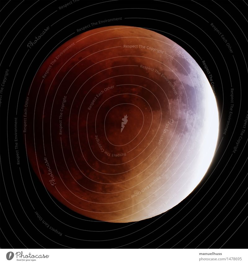 Superblutmond Nachthimmel Mond Mondfinsternis Vollmond groß gelb rot schwarz Wissenschaften Raumfahrt dunkel Teleskop Zoomeffekt Detailaufnahme Weltall