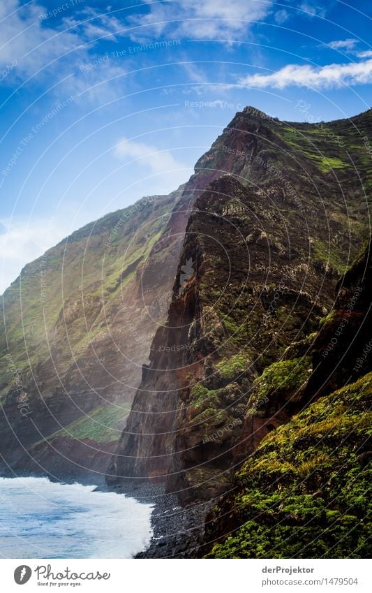 Steilküste Madeira Ferien & Urlaub & Reisen Tourismus Ausflug Abenteuer Ferne Freiheit Kreuzfahrt Wellen Berge u. Gebirge wandern Umwelt Natur Landschaft
