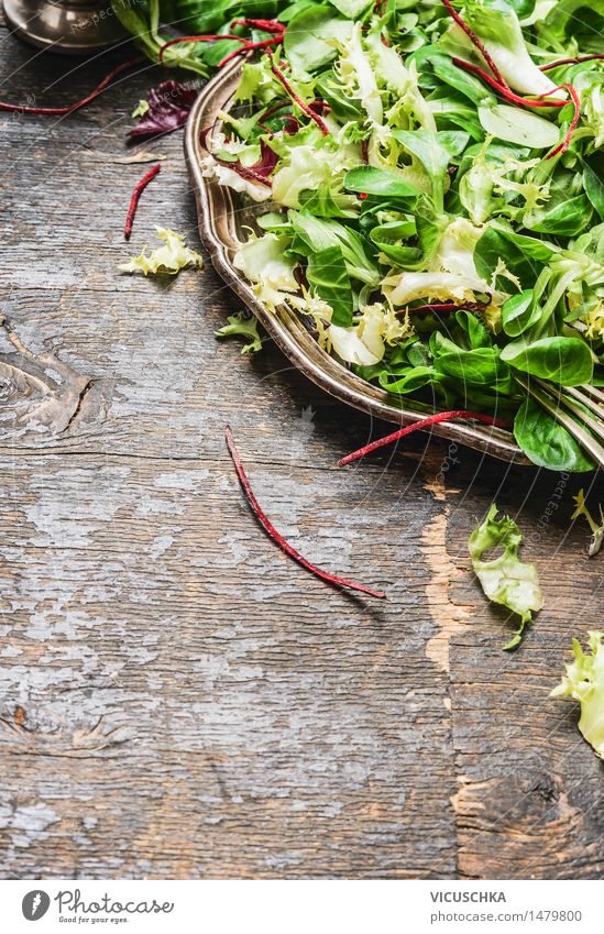 Teller mit grünem Salat Lebensmittel Salatbeilage Ernährung Mittagessen Abendessen Bioprodukte Vegetarische Ernährung Diät Gesunde Ernährung Tisch Design Stil