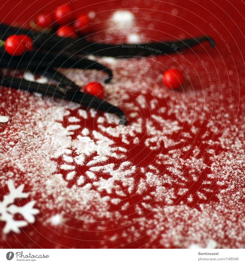 Adventsstimmung Dekoration & Verzierung Feste & Feiern besinnlich Schneeflocke Flocke Schote Vanilleschote Beeren Dezember Weihnachten & Advent Vorfreude