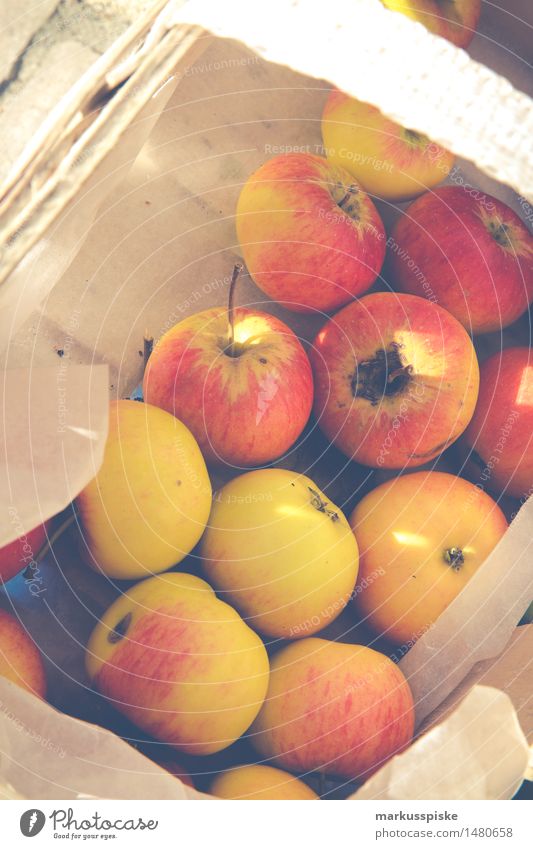frische bio ernte äpfel Lebensmittel Frucht Apfel Ernährung Essen Bioprodukte Vegetarische Ernährung Diät Fasten Slowfood Gesundheit Gesunde Ernährung