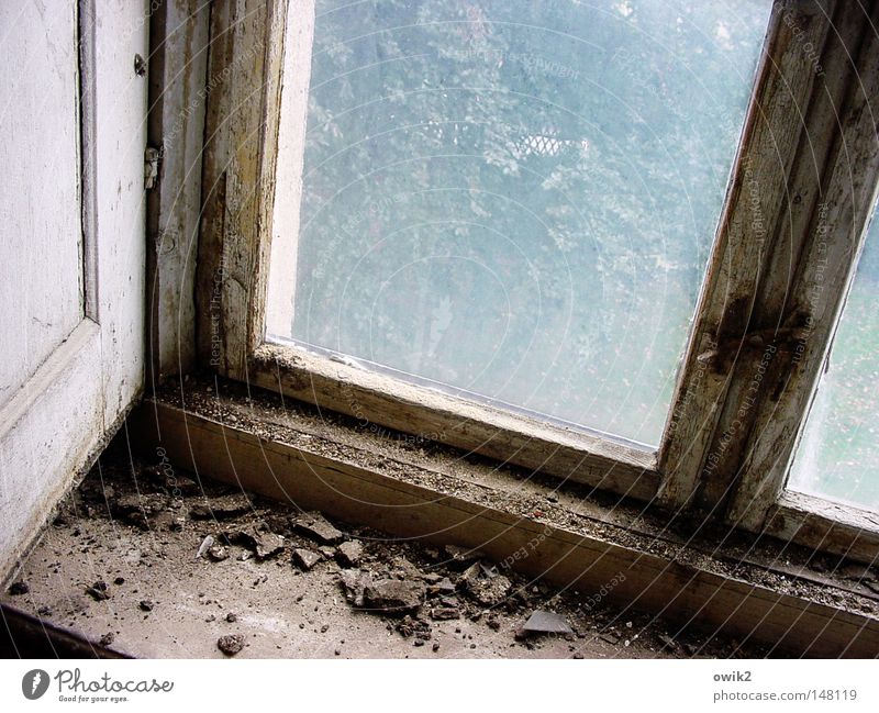 Lange nicht gelüftet Renovieren Innenarchitektur Mauer Wand Fenster Glas alt historisch kaputt Einsamkeit Verfall Vergangenheit Vergänglichkeit Fensterrahmen
