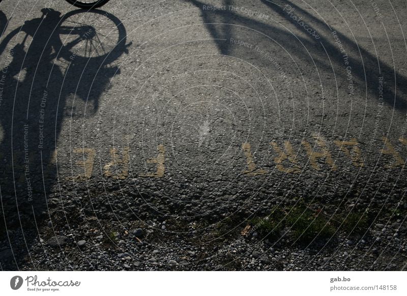 freie.fahrt Straße Dynamik Geschwindigkeit Fahrrad Reifen Schatten Perspektive Licht Reflexion & Spiegelung Asphalt Ordnung Kieselsteine grün Blatt Freiheit