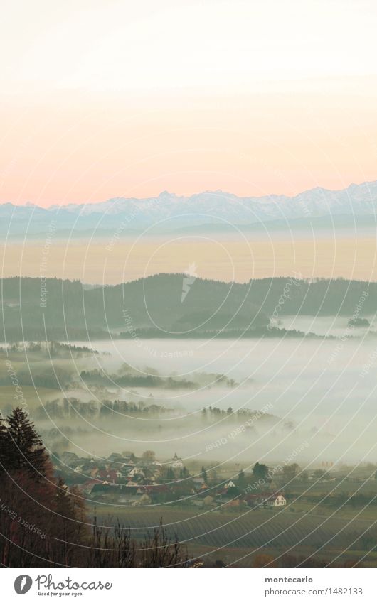 nebel im tal Umwelt Natur Landschaft Urelemente Erde Luft Himmel Horizont Sonnenaufgang Sonnenuntergang Herbst Winter Nebel Baum Aussicht Wiese Feld Wald Alpen