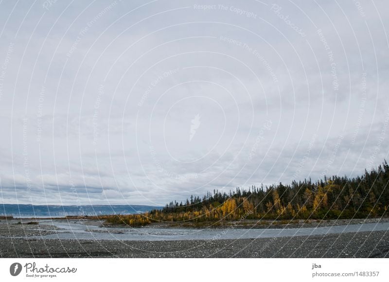 Flussmündung - Alaska 14 ruhig Ferne wandern Sportstätten Natur Landschaft Urelemente Wasser Wolken Herbst schlechtes Wetter Wind Wald Küste Meer Flußmündung
