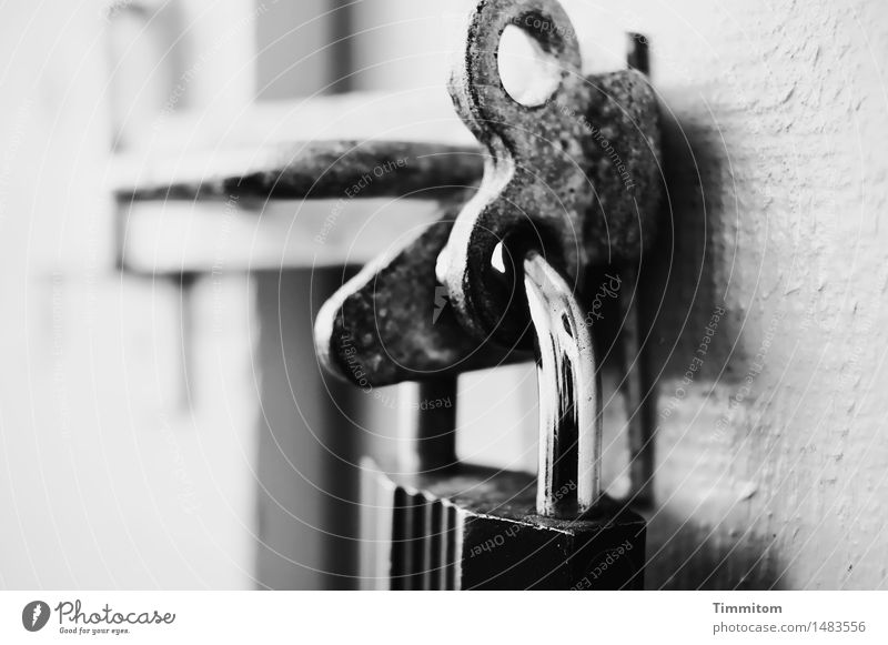Zu. Lagerschuppen Tür Schloss Vorhängeschloss Riegel Holz Metall einfach glänzend grau schwarz Schwarzweißfoto schließen Außenaufnahme Detailaufnahme