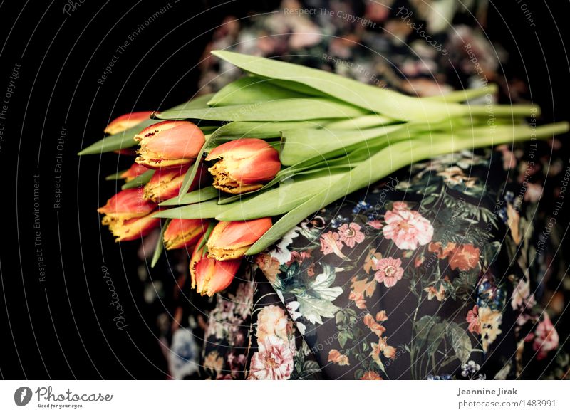 Frühling mit Tulpen II Lifestyle Feste & Feiern Valentinstag Muttertag feminin 1 Mensch Pflanze Blume Kleid sitzen mehrfarbig orange Glück Frühlingsgefühle