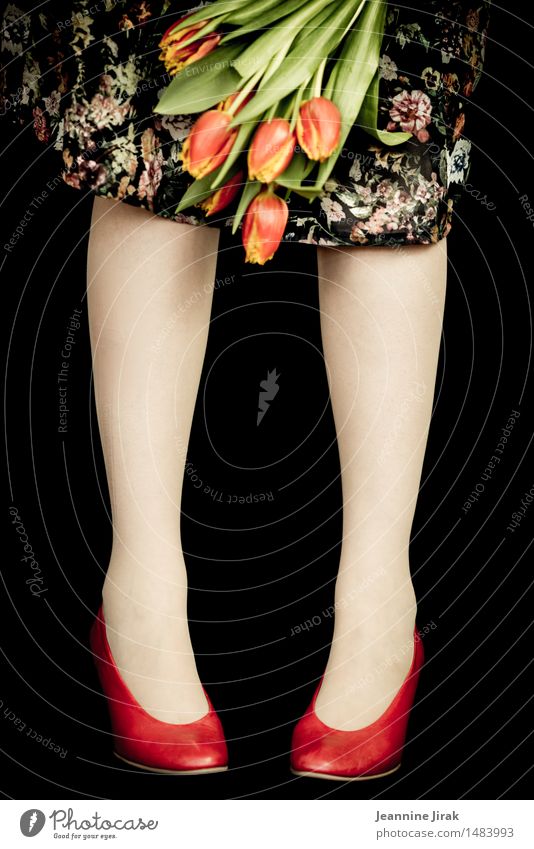 Frühling mit Tulpen Lifestyle elegant Freude Valentinstag Muttertag feminin Beine 1 Mensch Blume Kleid Schuhe stehen frisch orange rot Fröhlichkeit