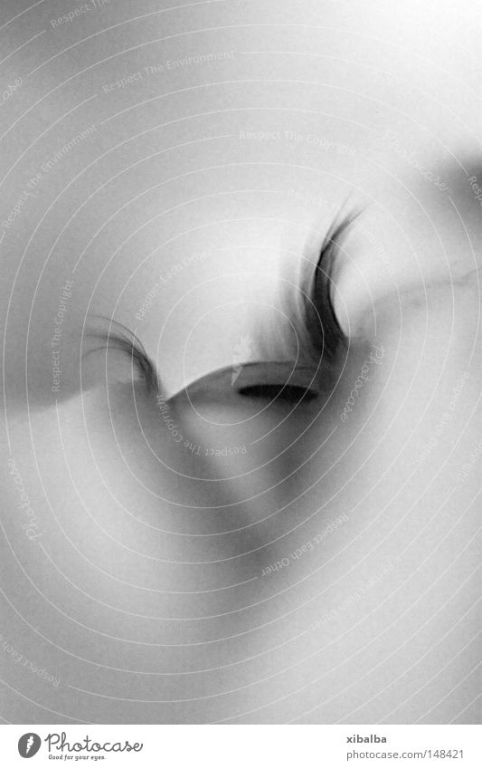 Eye 2D Silhouette Makroaufnahme Wimpern Unschärfe bewegungslos Geometrie Mitte offen Konzentration Schwarzweißfoto Nahaufnahme Auge Profil Regenbogenhaut Blick