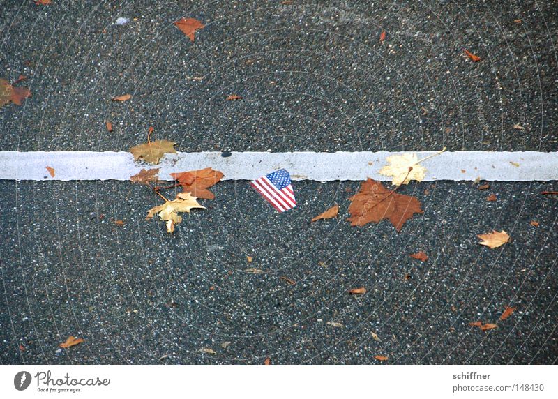 Walk the line USA Stars and Stripes Amerika Fahne Blatt Herbst Linie gerade Linientreue Wirtschaftskrise unten liegen gebraucht Müll Richtung richtungweisend