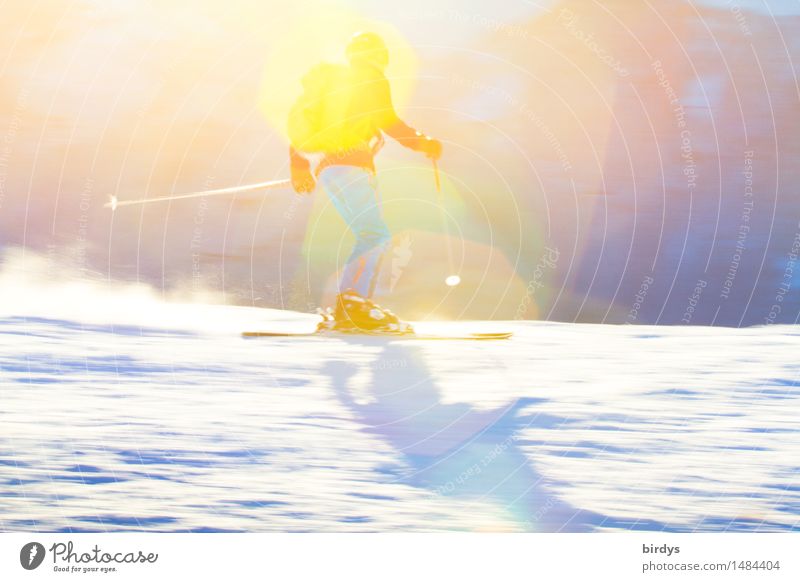 ski alpin Lifestyle Stil Ferien & Urlaub & Reisen Tourismus Winter Schnee Winterurlaub Wintersport Skifahren Skipiste maskulin Junge Frau Jugendliche 1 Mensch