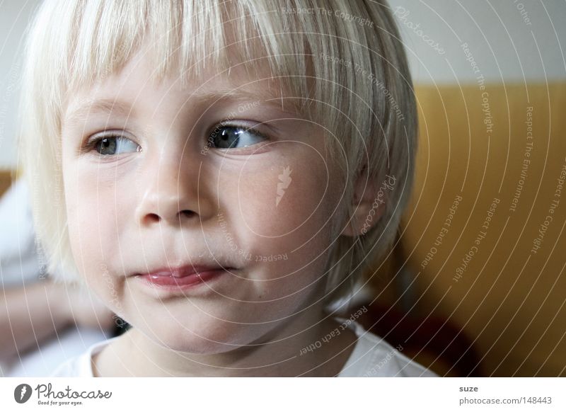 Augenblick schön Haare & Frisuren Gesicht Mensch Kind Mädchen Kindheit Kopf 1 3-8 Jahre blond kurzhaarig beobachten Denken Blick klein natürlich Neugier