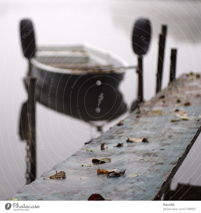 am steg Steg Hafen Anlegestelle Blatt Wasser Gewässer See Teich Binnensee Nebel trüb unklar Morgennebel grau schlechtes Wetter dunkel Wassertropfen Tau Raureif