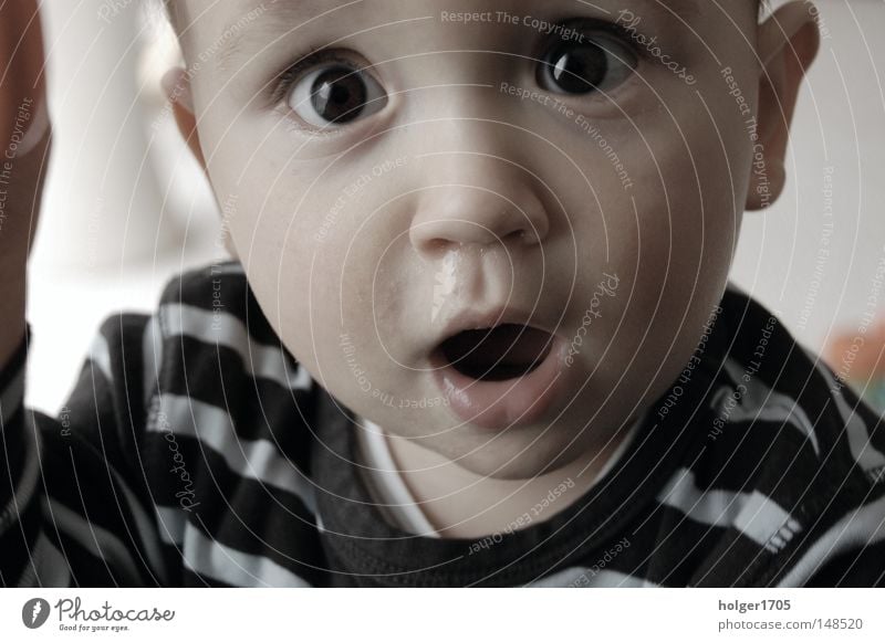 Junior Spiegelreflexkamera Digitalfotografie Mensch Kind Auge Baby groß Kleinkind D40 Brennpunkt
