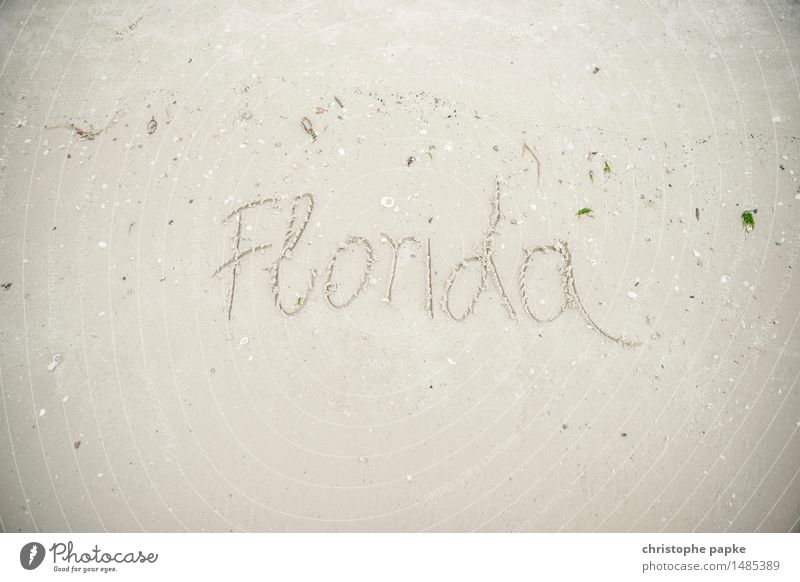 Welcome to ... Ferien & Urlaub & Reisen Tourismus Ferne Sommer Sommerurlaub Strand Meer Umwelt Natur Landschaft Sand Küste Seeufer Florida USA Schriftzeichen