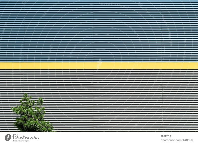 strich durch die rechnung | augenkrebs Baum Wand Linie gelb Lagerhalle Halle Industrie Natur Architektur Widerspruch unlogisch modern Kontrast