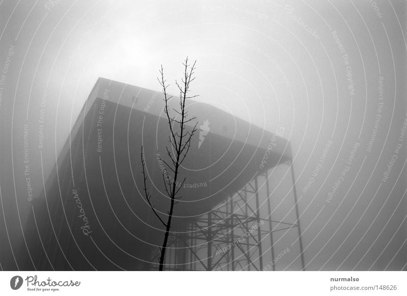 Großes Grau Halle alpin künstlich unnatürlich Klimawandel Kunst Kunstschnee Ebene Energie Winter Herbst grau Baum Ast zart Nebel hoch Stahl Konstruktion Metall
