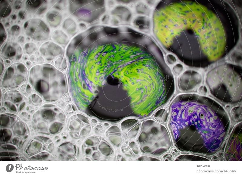 blasende seife Luftblase Seifenblase molekular Schaum Farbstoff mehrfarbig Reflexion & Spiegelung Schönes Wetter Farbenspiel Blubbern Wasserblase