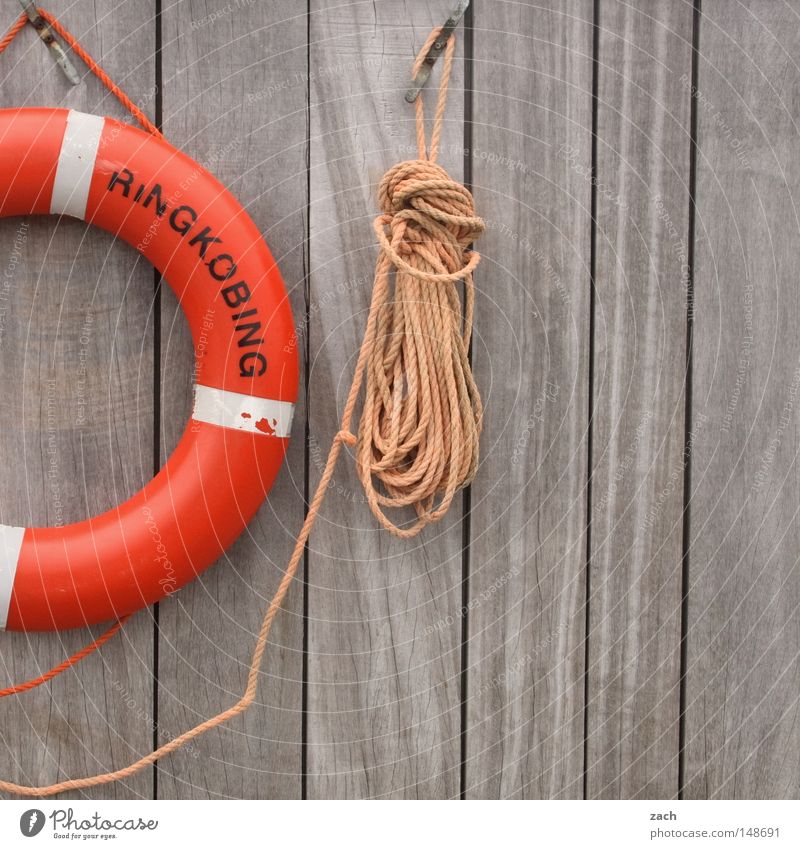 Bitte rette mich! Rettungsring retten Rettungsschwimmer Malibu Schnur Seil Wand Holz Holzwand ertrinken Meer See Angst Panik Sicherheit Hasselhof ertrinkem