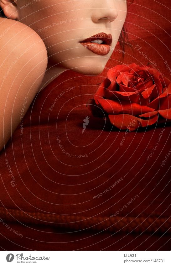 Rote Lippen, rote Rosen Frau schön Dorn Nase unerkannt Schulter Sessel Samt Konzert Dame Nacht Partnerschaft Valentinstag Nite