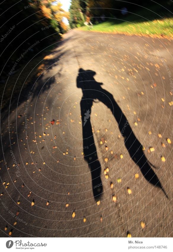 ! gnirps hüpfen springen Schatten Selbstportrait sprunghaft hoch Breitbeinig O-Beine Mann maskulin Kerl Mensch Aktion Unschärfe herbstlich Blatt Sonne Flugzeug