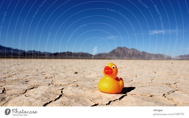 Desert Duck Badeente Ente Wüste Salzsee See Sand trocken Himmel USA Amerika Vogel Entertainment