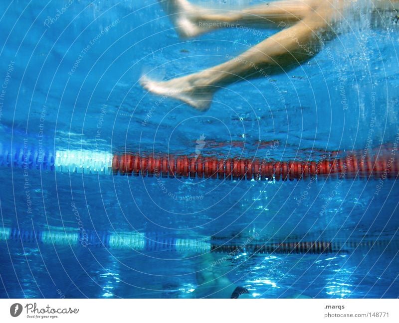 Beinarbeit Farbfoto Unterwasseraufnahme Blick nach oben Lifestyle Gesundheit Wellness Leben Freizeit & Hobby Spielen Bad Sport Wassersport Sportler Schwimmbad